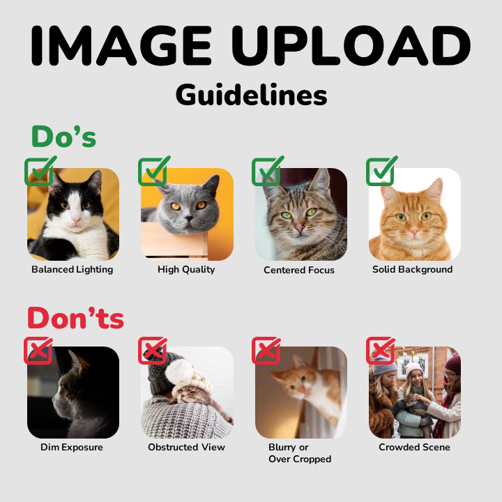 Image showing tips for uploading pictures: Dos and Don'ts – Use high-resolution images, correct formats (JPEG, PNG), and adjust size. Avoid pixelated, blurry images and oversized files.